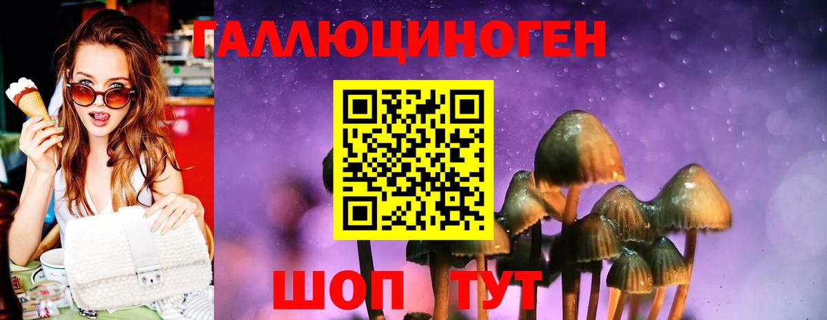 Когалым  Галлюциногенные грибы MAGIC MUSHROOMS  где купить наркоту  Вход с VPN 